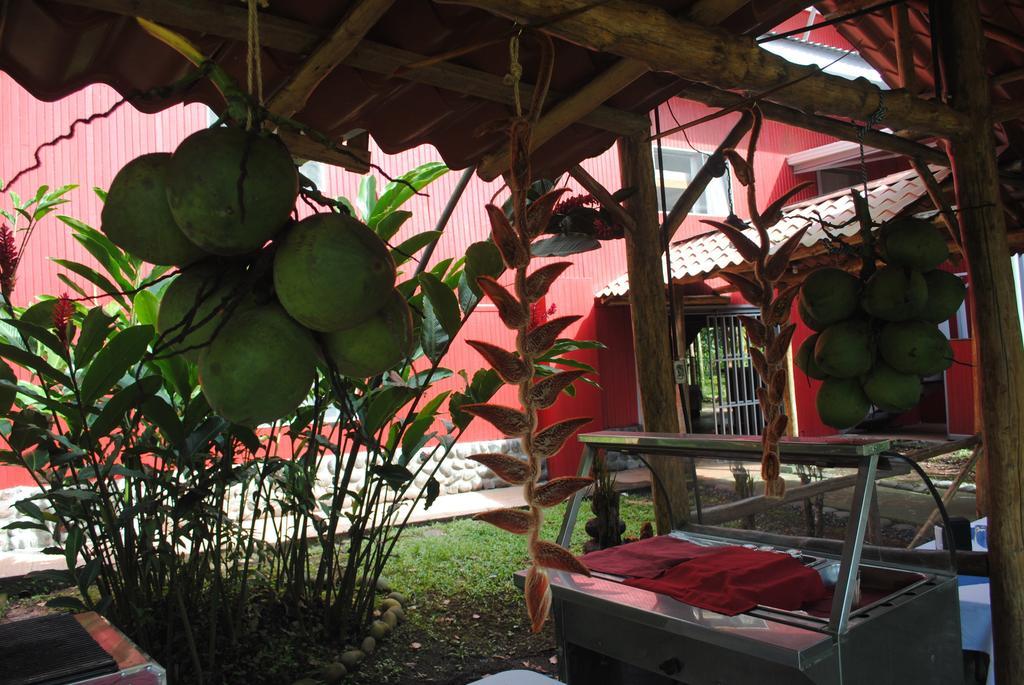 Islas Del Rio Hostel Tirimbina Εξωτερικό φωτογραφία