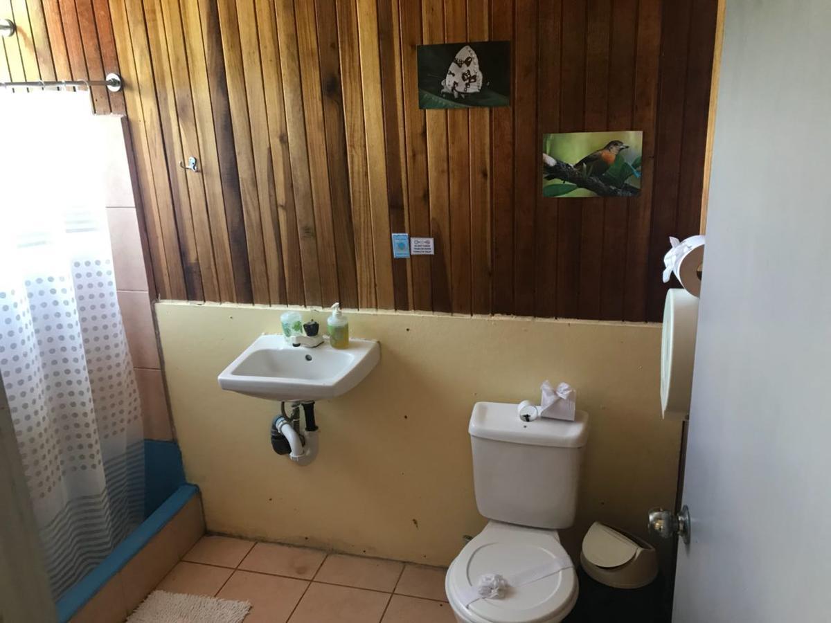 Islas Del Rio Hostel Tirimbina Εξωτερικό φωτογραφία